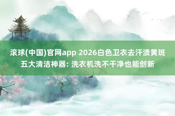 滚球(中国)官网app 2026白色卫衣去汗渍黄斑五大清洁神器: 洗衣机洗不干净也能创新