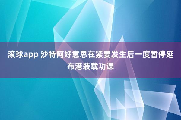 滚球app 沙特阿好意思在紧要发生后一度暂停延布港装载功课