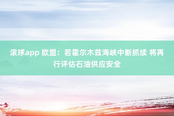 滚球app 欧盟：若霍尔木兹海峡中断抓续 将再行评估石油供应安全