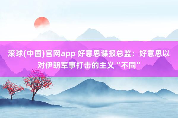 滚球(中国)官网app 好意思谍报总监：好意思以对伊朗军事打击的主义“不同”