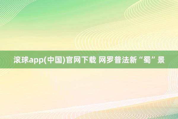 滚球app(中国)官网下载 网罗普法新“蜀”景