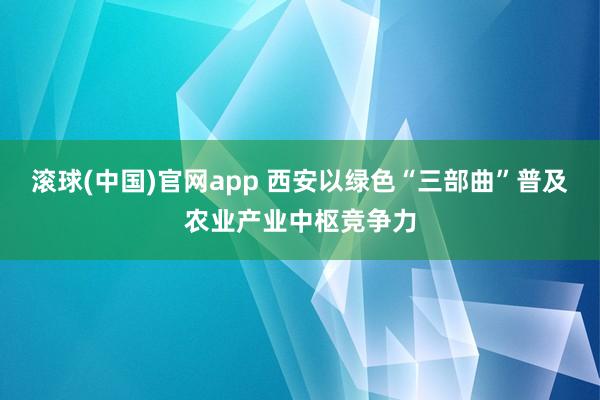 滚球(中国)官网app 西安以绿色“三部曲”普及农业产业中枢竞争力