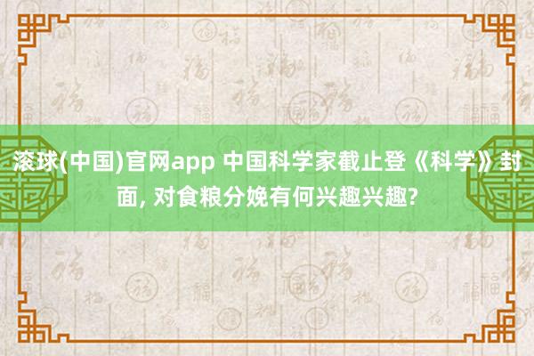 滚球(中国)官网app 中国科学家截止登《科学》封面， 对食粮分娩有何兴趣兴趣?