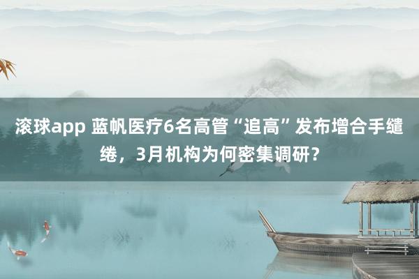 滚球app 蓝帆医疗6名高管“追高”发布增合手缱绻，3月机构为何密集调研？
