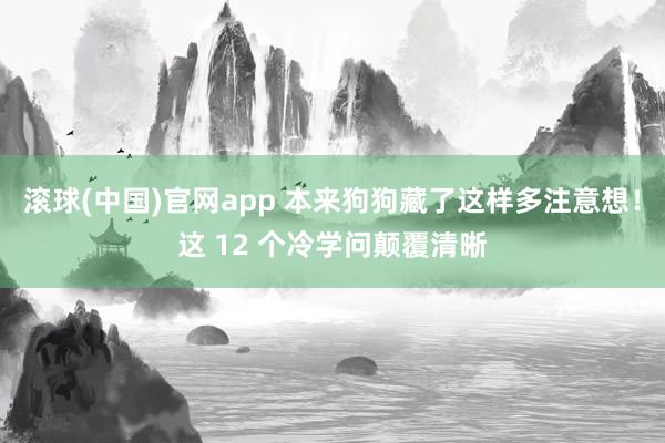 滚球(中国)官网app 本来狗狗藏了这样多注意想！这 12 个冷学问颠覆清晰