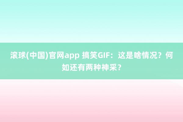 滚球(中国)官网app 搞笑GIF：这是啥情况？何如还有两种神采？