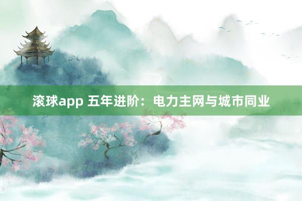 滚球app 五年进阶：电力主网与城市同业