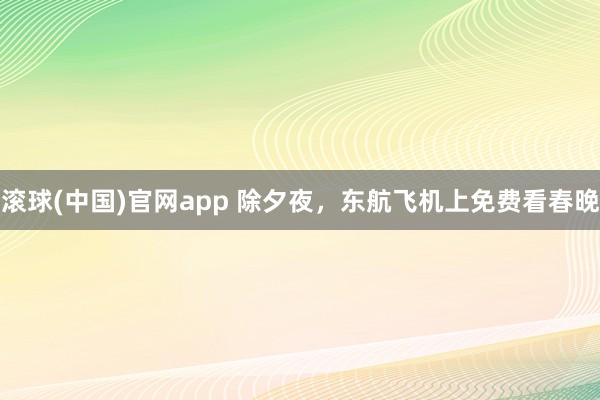 滚球(中国)官网app 除夕夜，东航飞机上免费看春晚