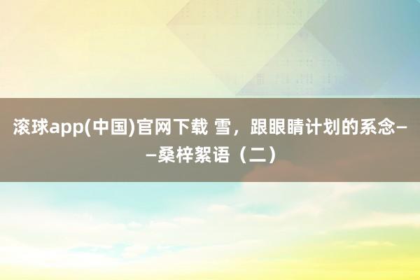 滚球app(中国)官网下载 雪，跟眼睛计划的系念——桑梓絮语（二）
