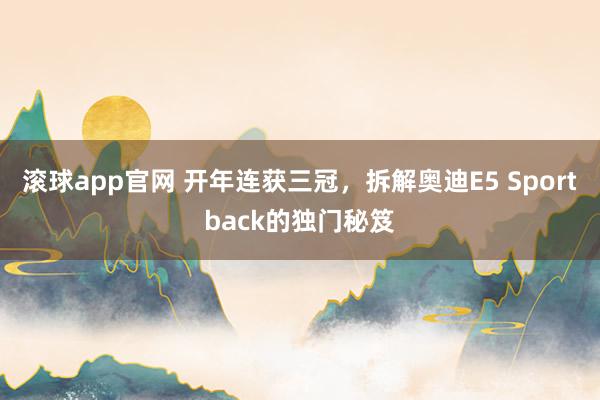滚球app官网 开年连获三冠，拆解奥迪E5 Sportback的独门秘笈