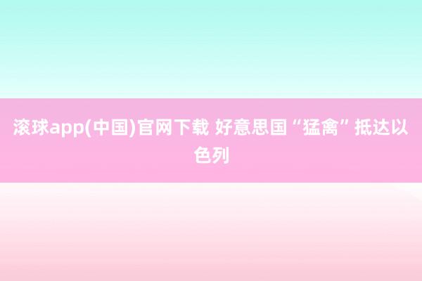 滚球app(中国)官网下载 好意思国“猛禽”抵达以色列
