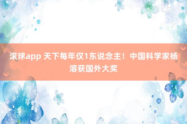 滚球app 天下每年仅1东说念主！中国科学家杨溶获国外大奖