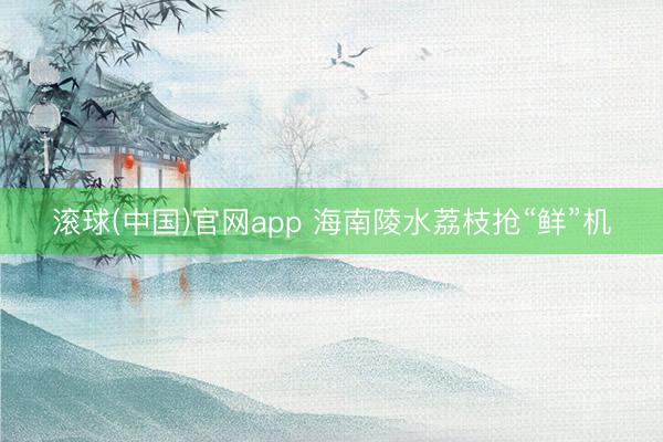 滚球(中国)官网app 海南陵水荔枝抢“鲜”机