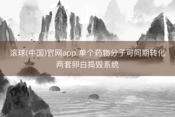 滚球(中国)官网app 单个药物分子可同期转化两套卵白捣毁系统