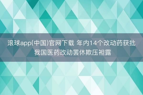 滚球app(中国)官网下载 年内14个改动药获批 我国医药改动罢休欺压袒露