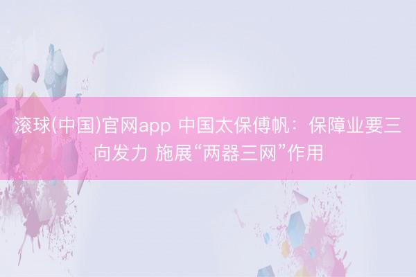 滚球(中国)官网app 中国太保傅帆:保障业要三向发力 施展“两器三网”作用