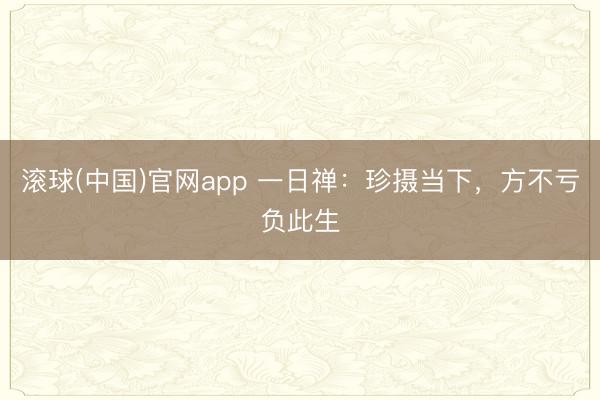 滚球(中国)官网app 一日禅：珍摄当下，方不亏负此生