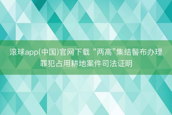 滚球app(中国)官网下载 “两高”集结髻布办理罪犯占用耕地案件司法证明