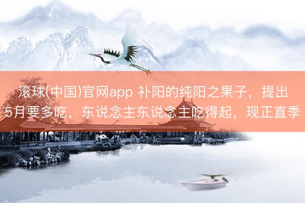 滚球(中国)官网app 补阳的纯阳之果子，提出5月要多吃，东说念主东说念主吃得起，现正直季