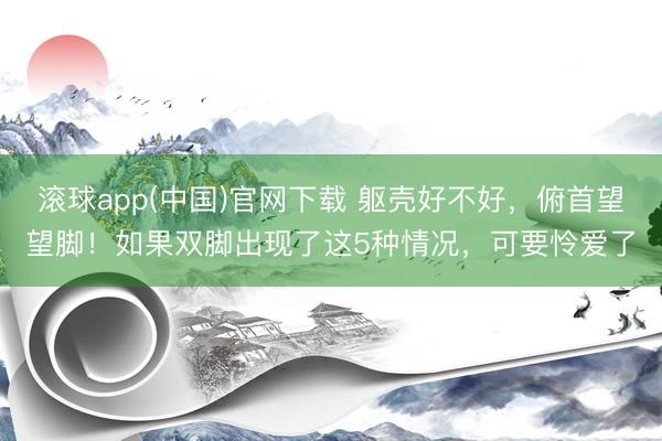 滚球app(中国)官网下载 躯壳好不好，俯首望望脚！如果双脚出现了这5种情况，可要怜爱了
