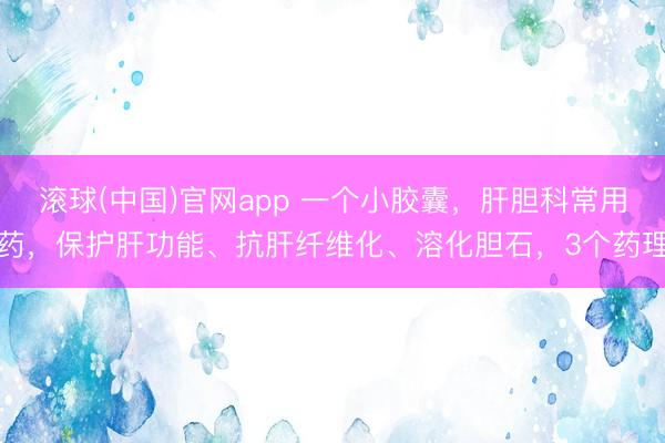 滚球(中国)官网app 一个小胶囊,肝胆科常用药,保护肝功能、抗肝纤维化、溶化胆石,3个药理