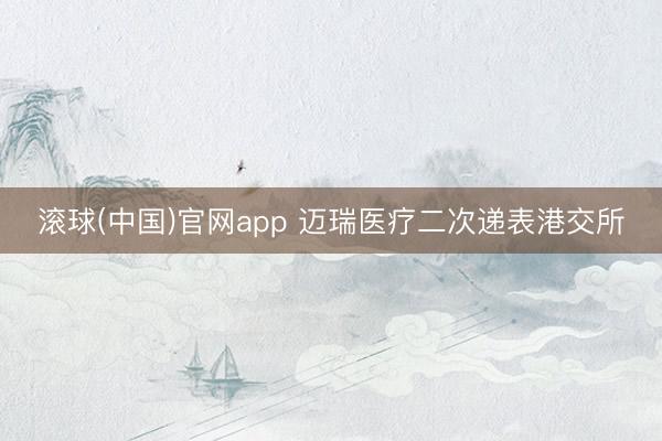 滚球(中国)官网app 迈瑞医疗二次递表港交所