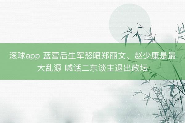 滚球app 蓝营后生军怒喷郑丽文、赵少康是最大乱源 喊话二东